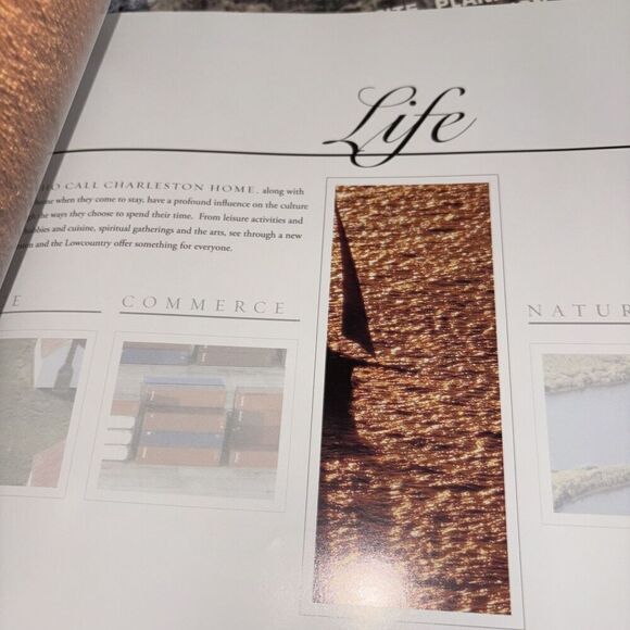 Charleston from Above: Aerial Photographs of the Lowcountry by Glenn, Frank - Picture 6 of 6